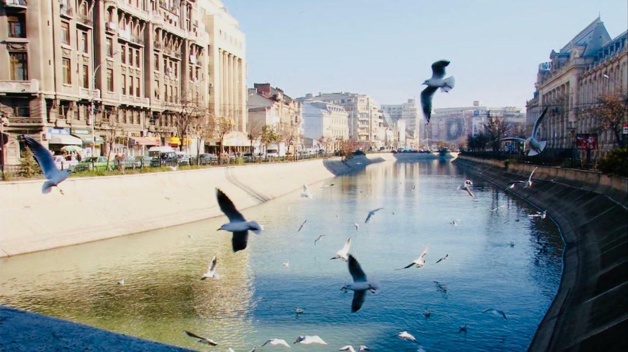 Eric Apartment 100 Bucureşti Eksteriør bilde